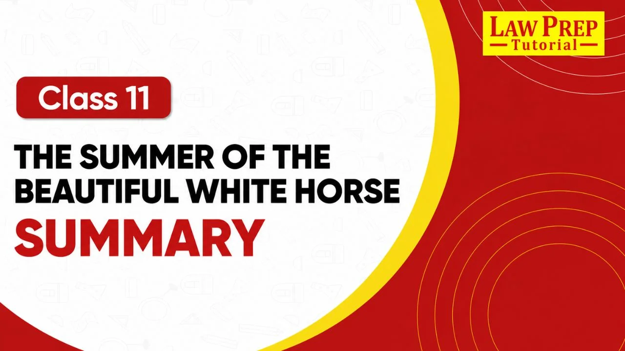the summer of the beautiful white horse summary