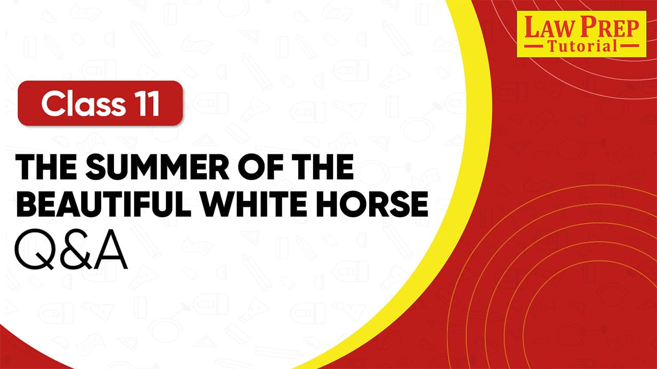 CBSE Class 11th The Summer of the beautiful white horse Q&A